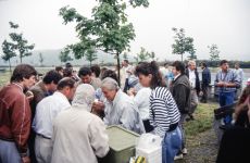 mosel-002