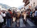 zillertal-023
