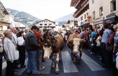 zillertal-023