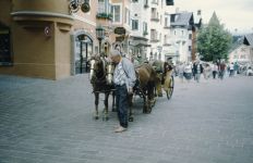 fuegen-056