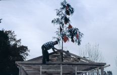 stecherhuette-032