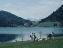 scheffau-034