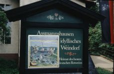 ruedesheim-020