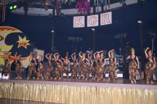 faschingsgala-033