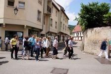 elsass023