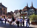 elsass051